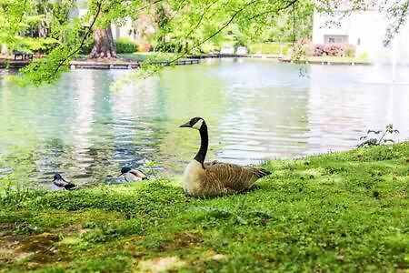 Experience Sacramento With Tranquil Lakeside Views Экстерьер фото